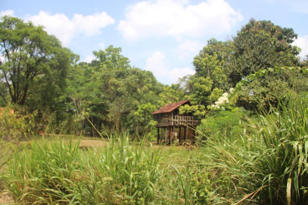 Eagles Wing's GuestHouse photo 2