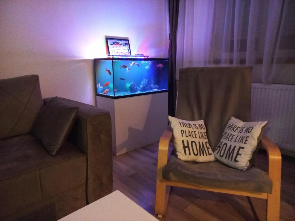 TOP Apartman photo 3