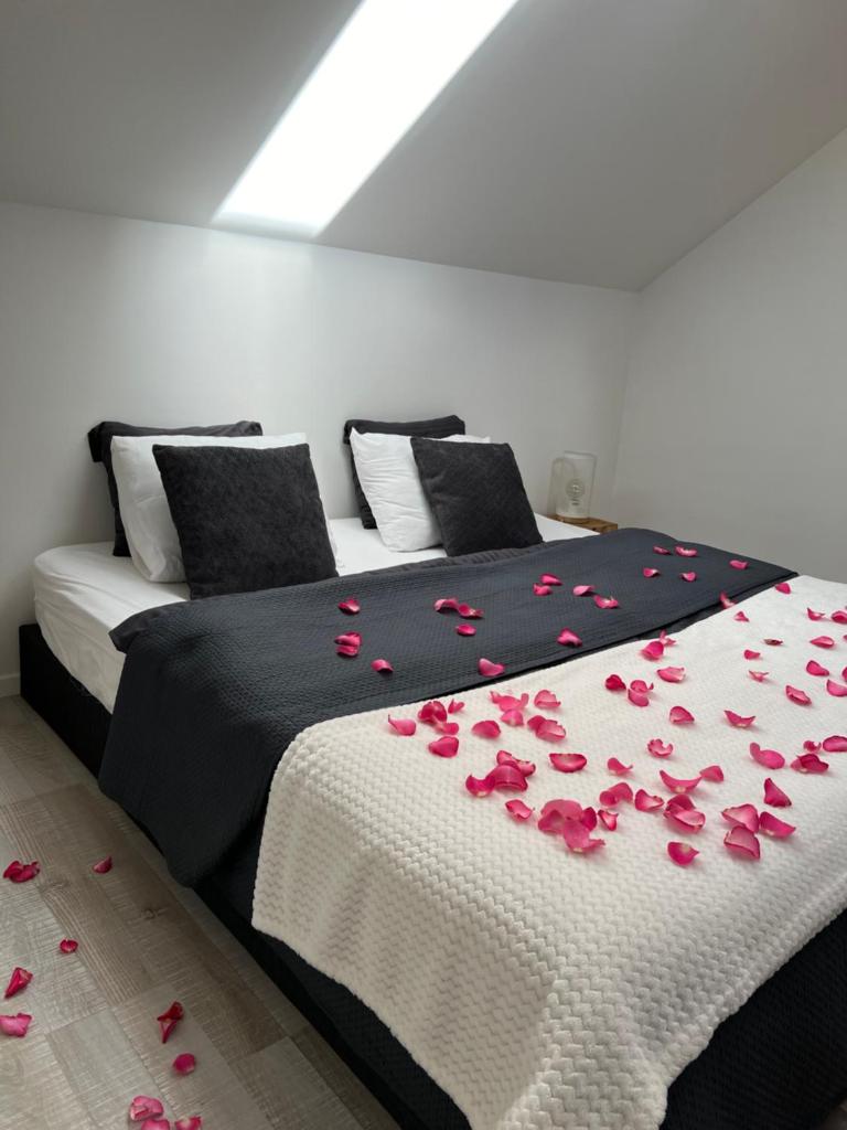 Wellness Loft Huy photo 4