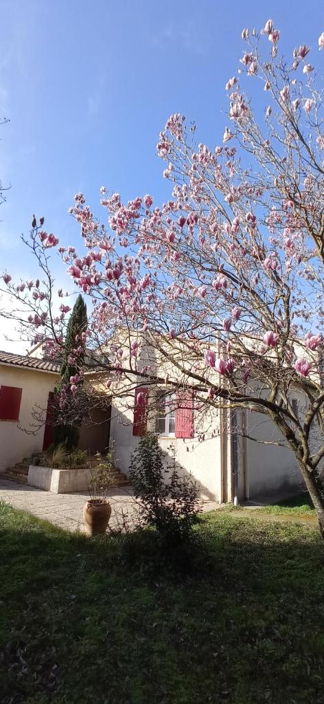 UNE CHOUETTE MAISON