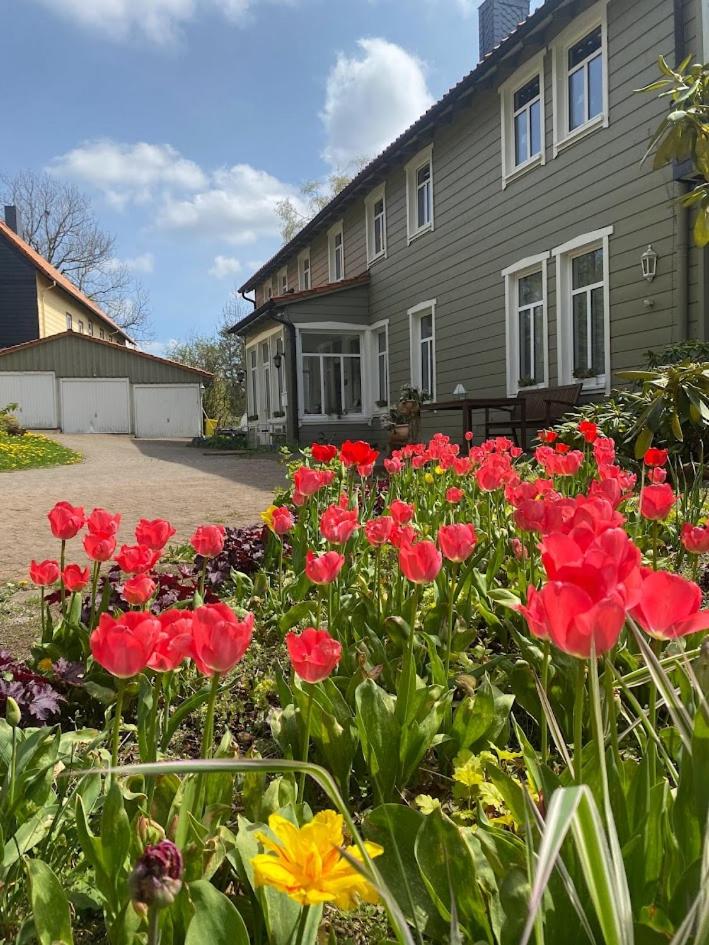 Gästehaus Harzluft / Gruppenferienhaus photo 1