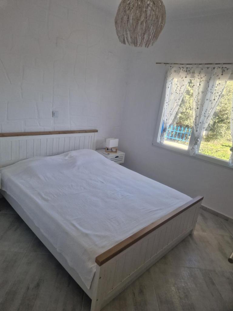 Casa Sonia photo 3