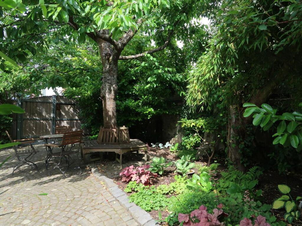 Apartment in Geiersthal photo 1