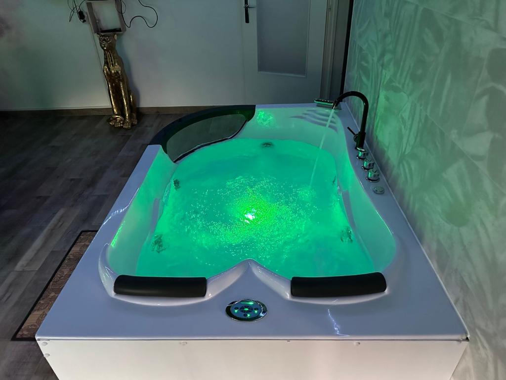 The Jungle SPA Strasbourg photo 3