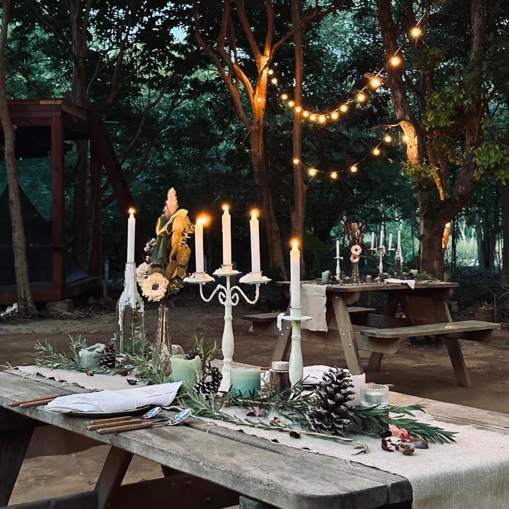 Cabin Home อยู่ป่า wild and free photo 3