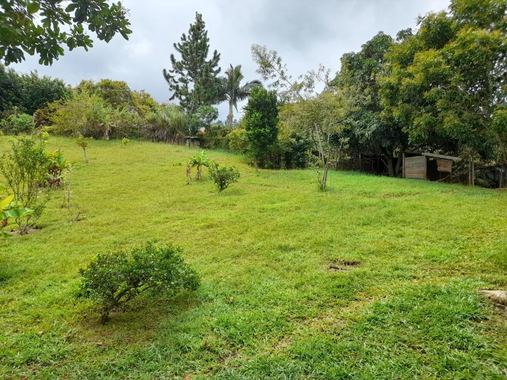 Villa Isa photo 3