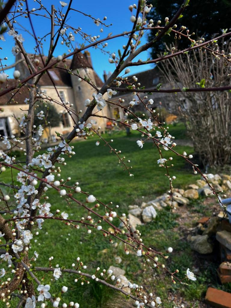 La suite des étoiles du manoir photo 1
