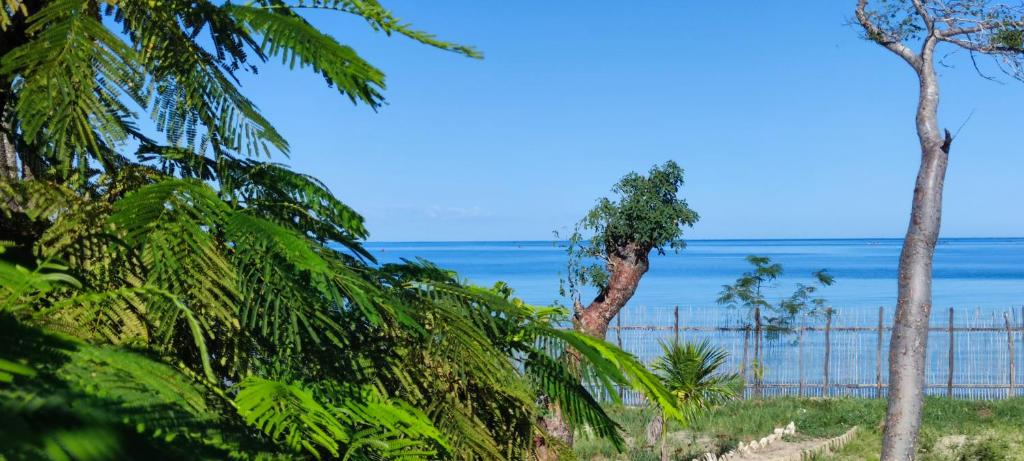 Villa Nature photo 2