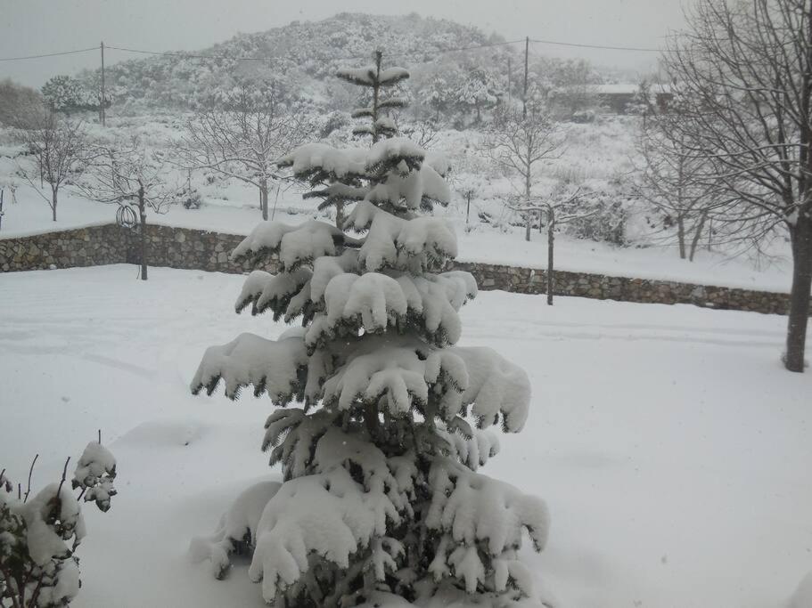 Κτήμα Φτελιά photo 1