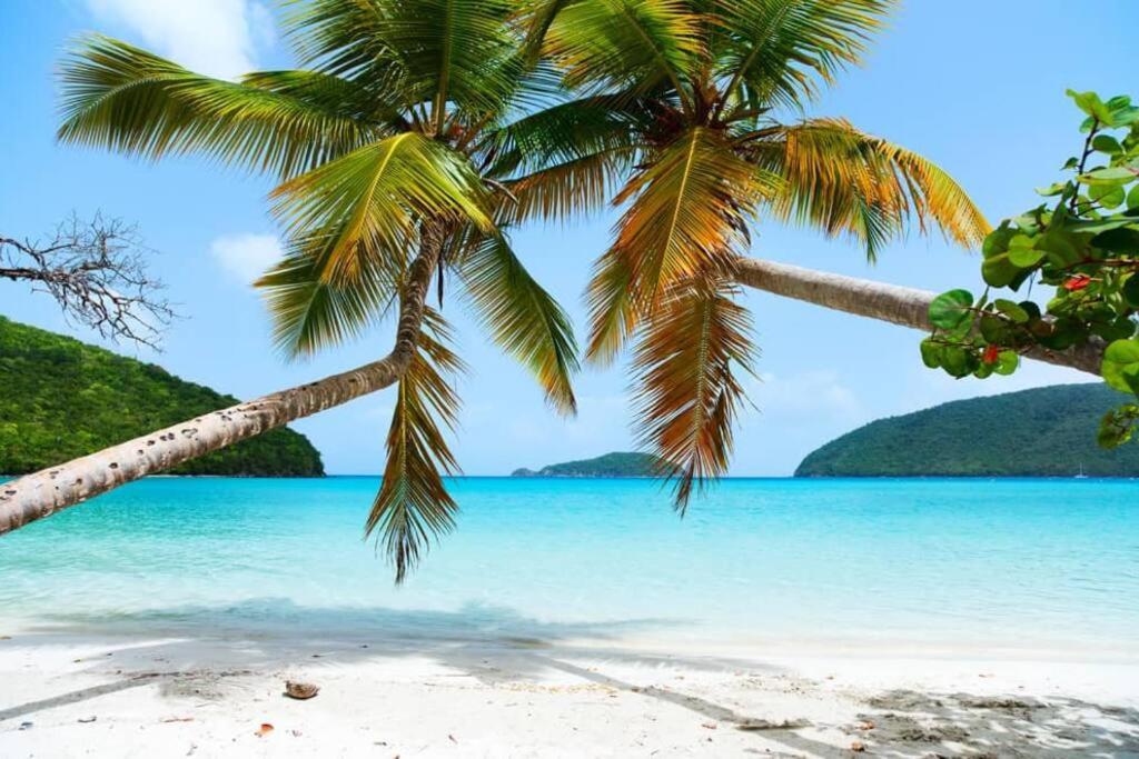 Island Oasis: Beach & Views photo 2