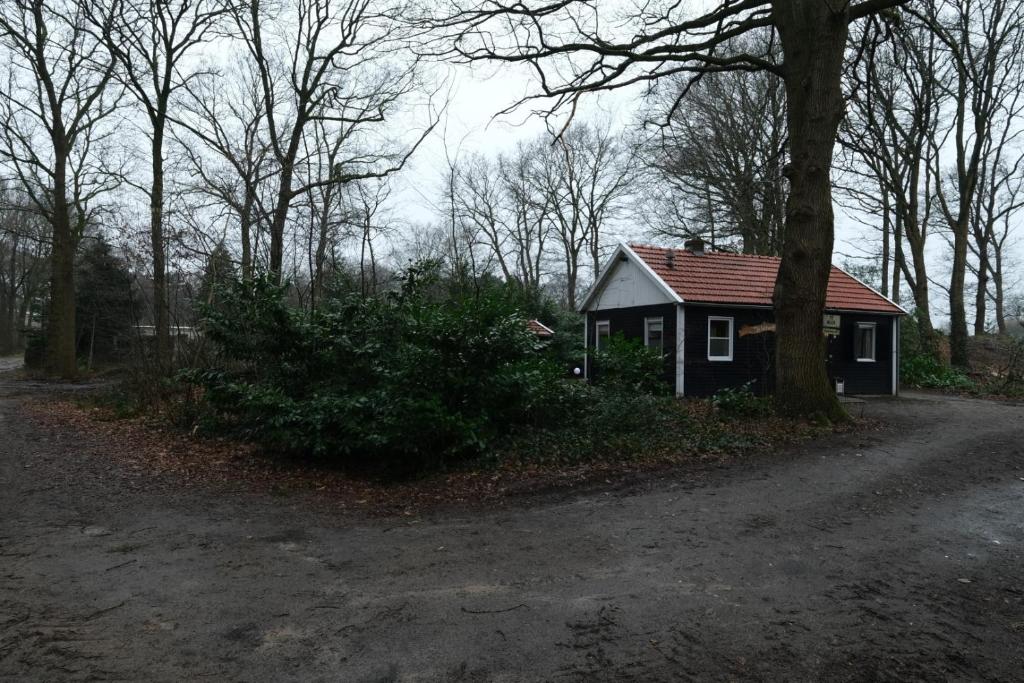 Vakantiehuis De Veldhoen vrijgelegen nabij de rivier de Vecht photo 4