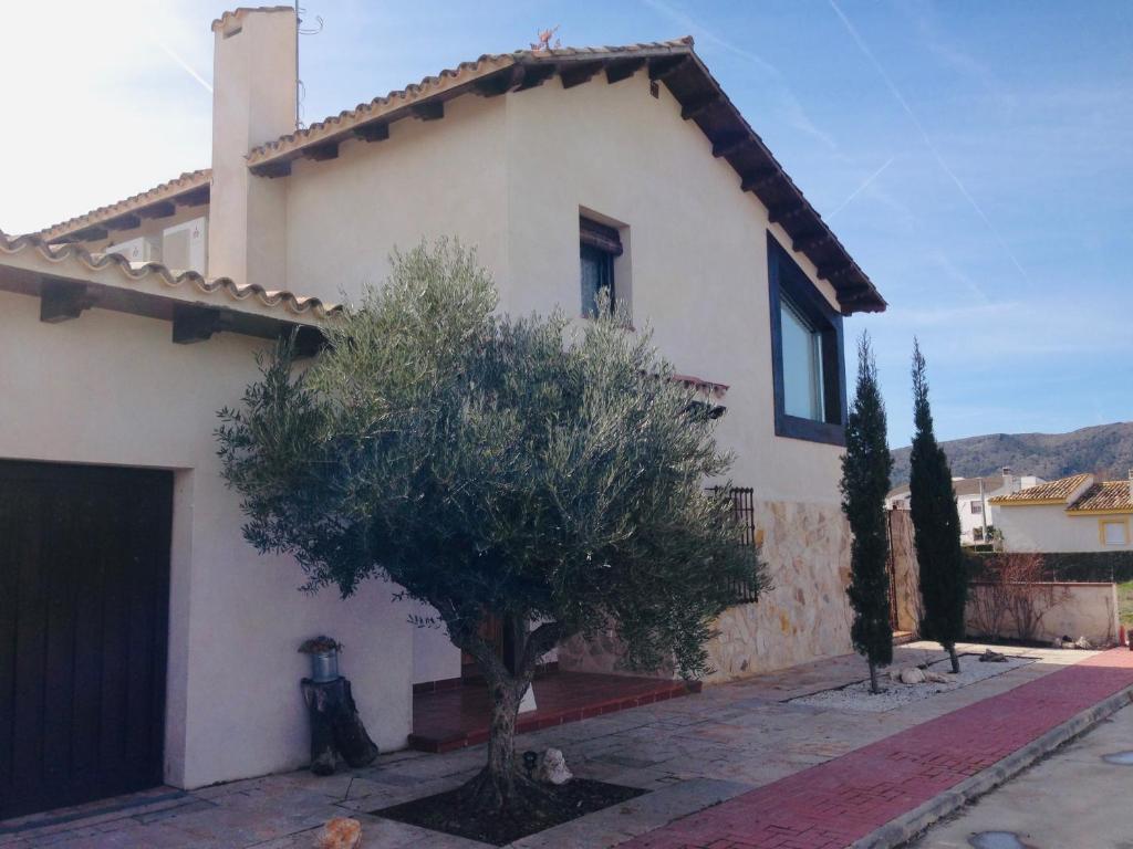 La Peña del Gato photo 2