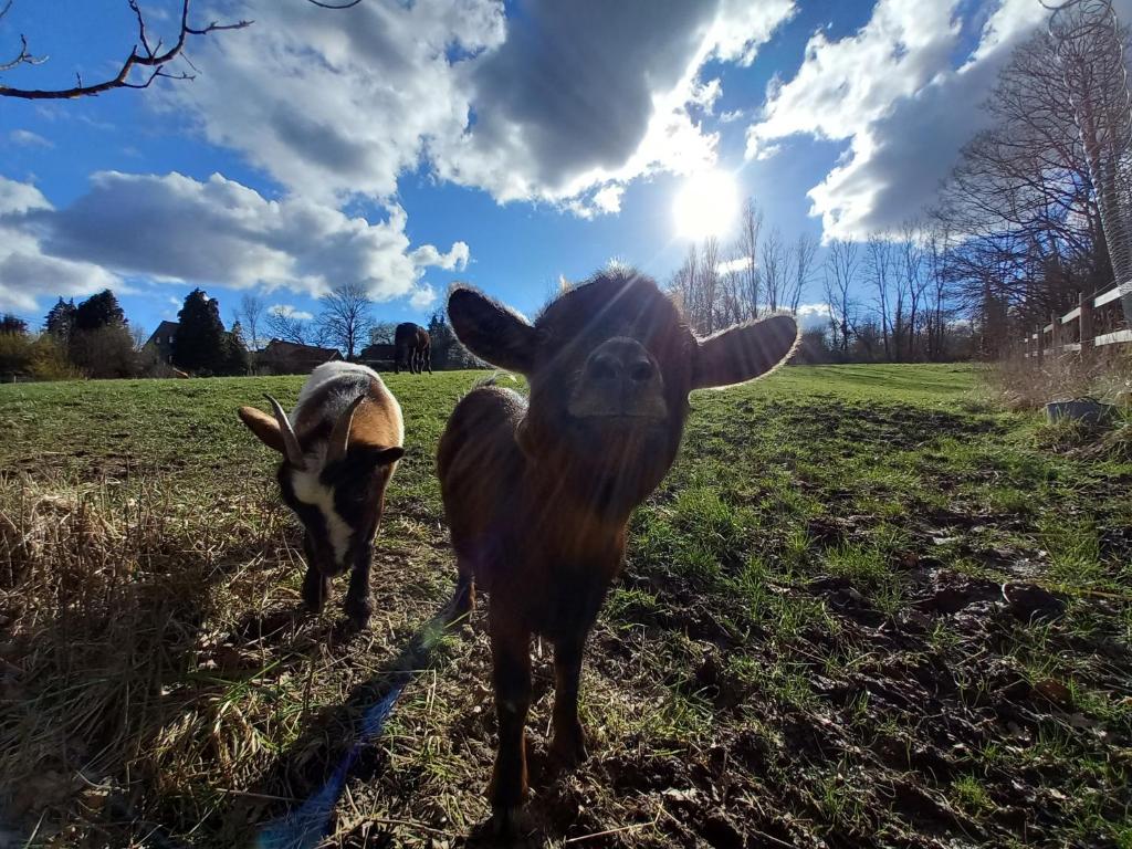 Les hauts de Meez photo 3