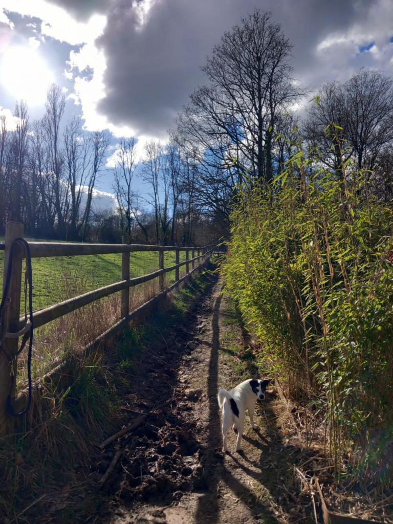 Les hauts de Meez photo 1