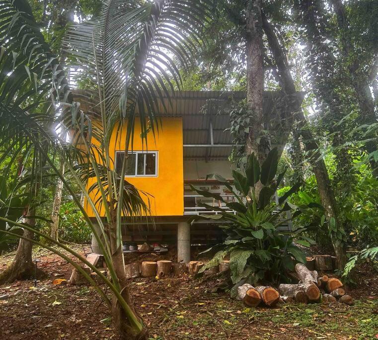 Tiny jungle house, few minutes from the beach