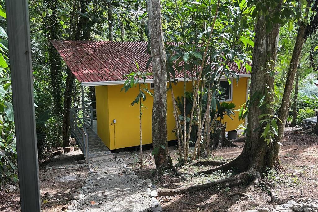 Tiny jungle house, few minutes from the beach photo 2