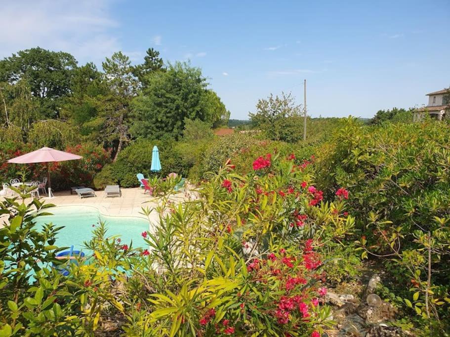 Les lauriers : piscine chauffée et climatisation photo 3