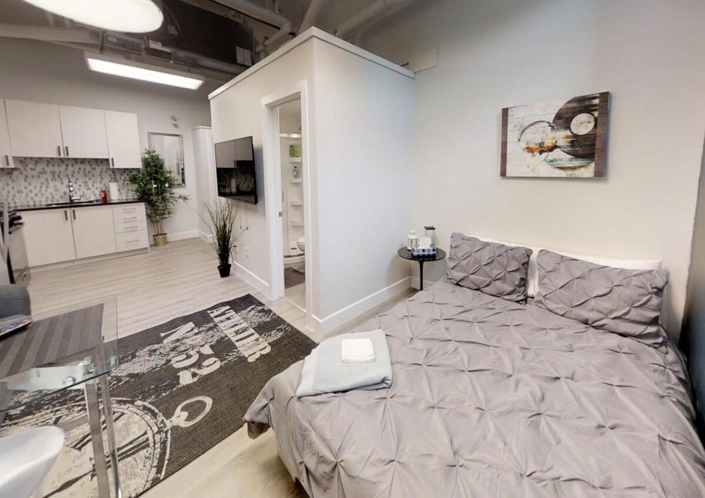 Bachelor apartment in downtown photo 4