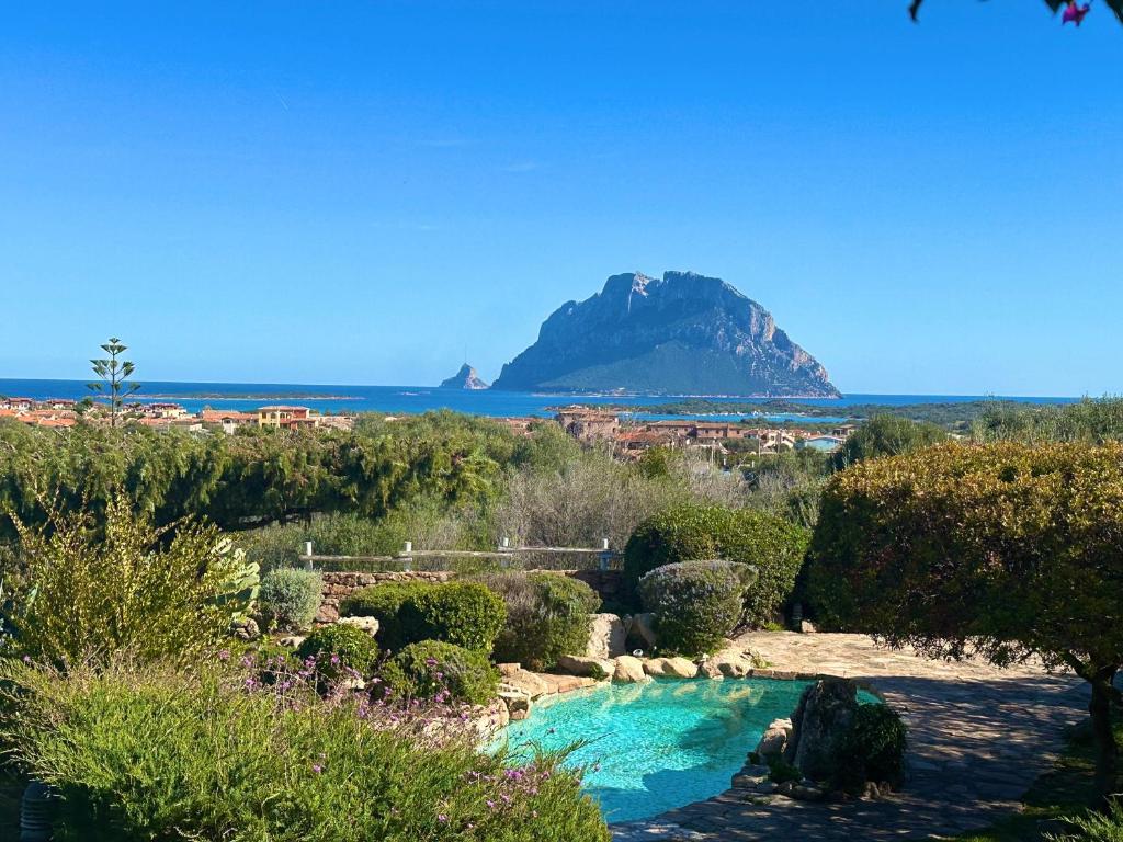 Villa Paradiso photo 4
