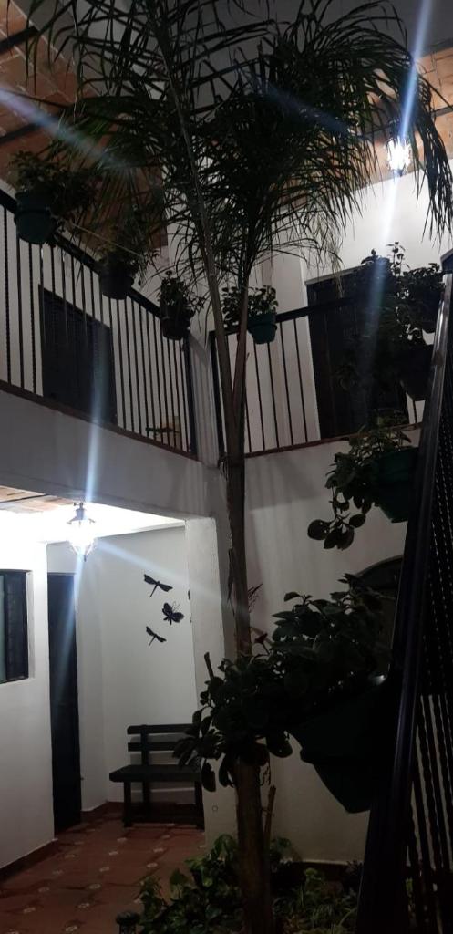 Posada Jerez photo 4