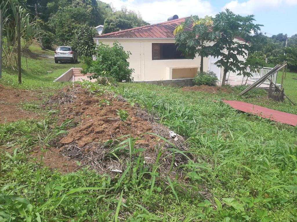 Villa Paco photo 1