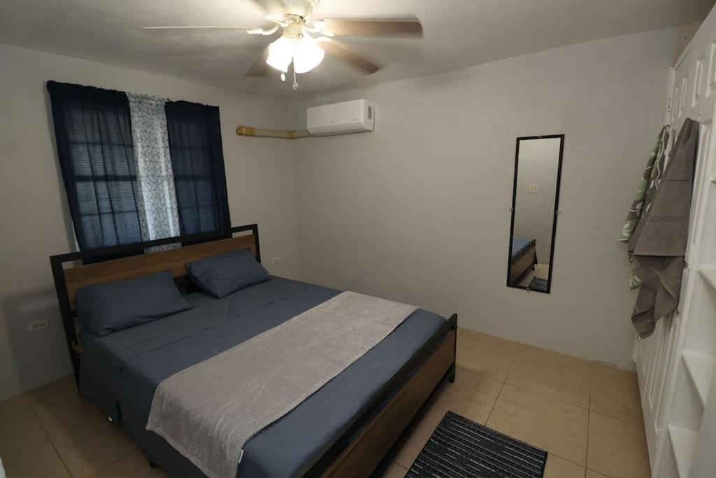 Dolphin Villas AXA photo 2