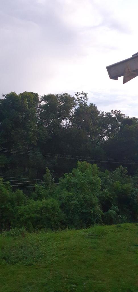 Villa Rural photo 3