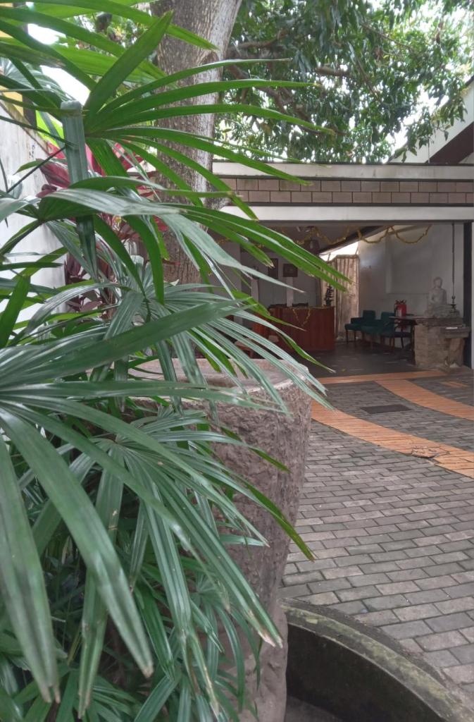 Gibu Art Villa photo 4