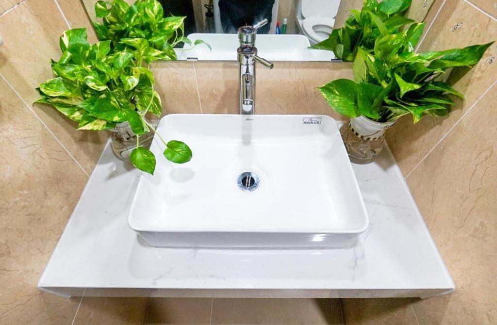 Alice's home Times city