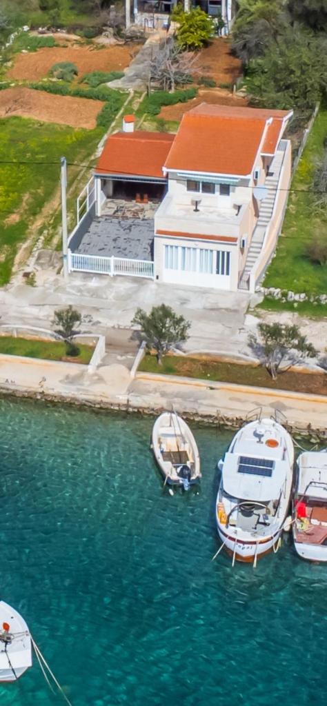 Villa Anđelić photo 1