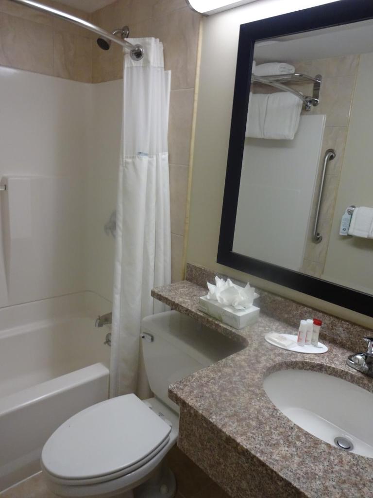 Двухместный (Номер для некурящих с кроватью размера «king-size»), Ramada by Wyndham Staten Island