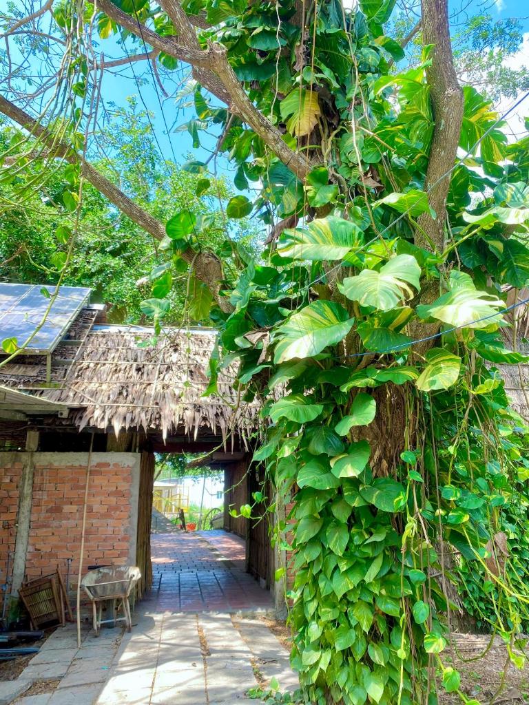 Homestay Mekong Can Tho