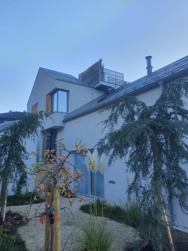 TIROLER TRIS 1 Chalet & Penthouse photo 2