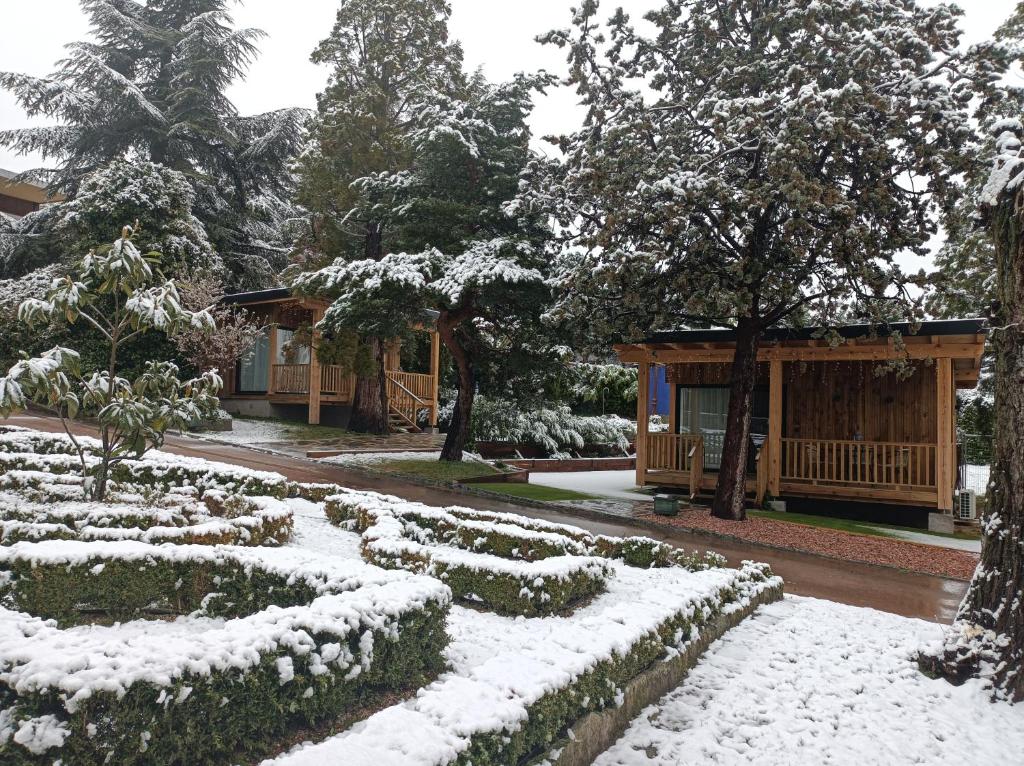 Jardín Las Secuoyas photo 4