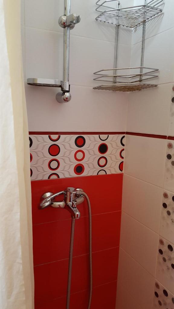 Naiza Guesthouse and Apartments Room Type - Double Room with Kitchenette