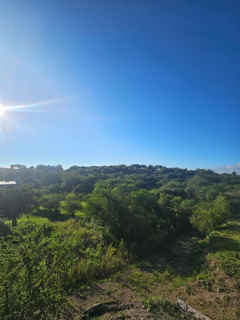 El Parral photo 4