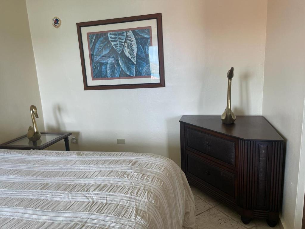 Costa Bonita Apt photo 4