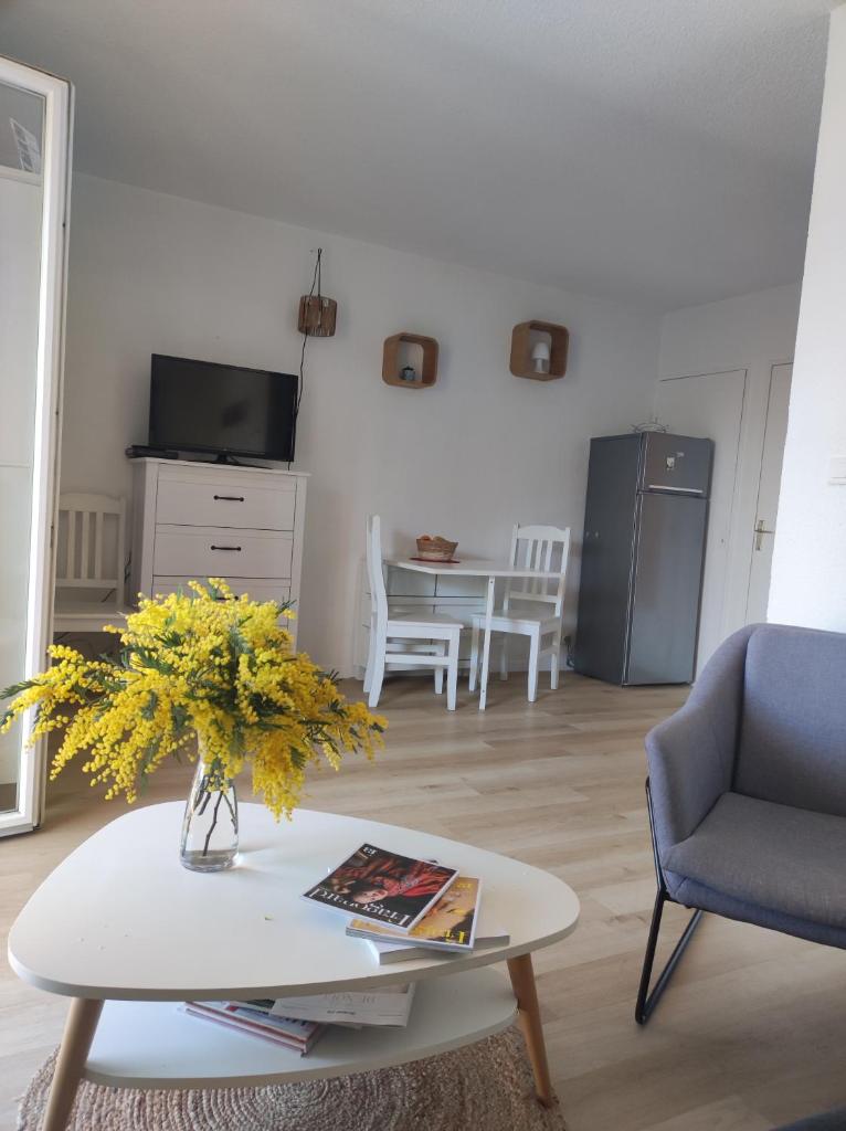 Joli appartement avec jardin dans résidence avec piscines photo 1