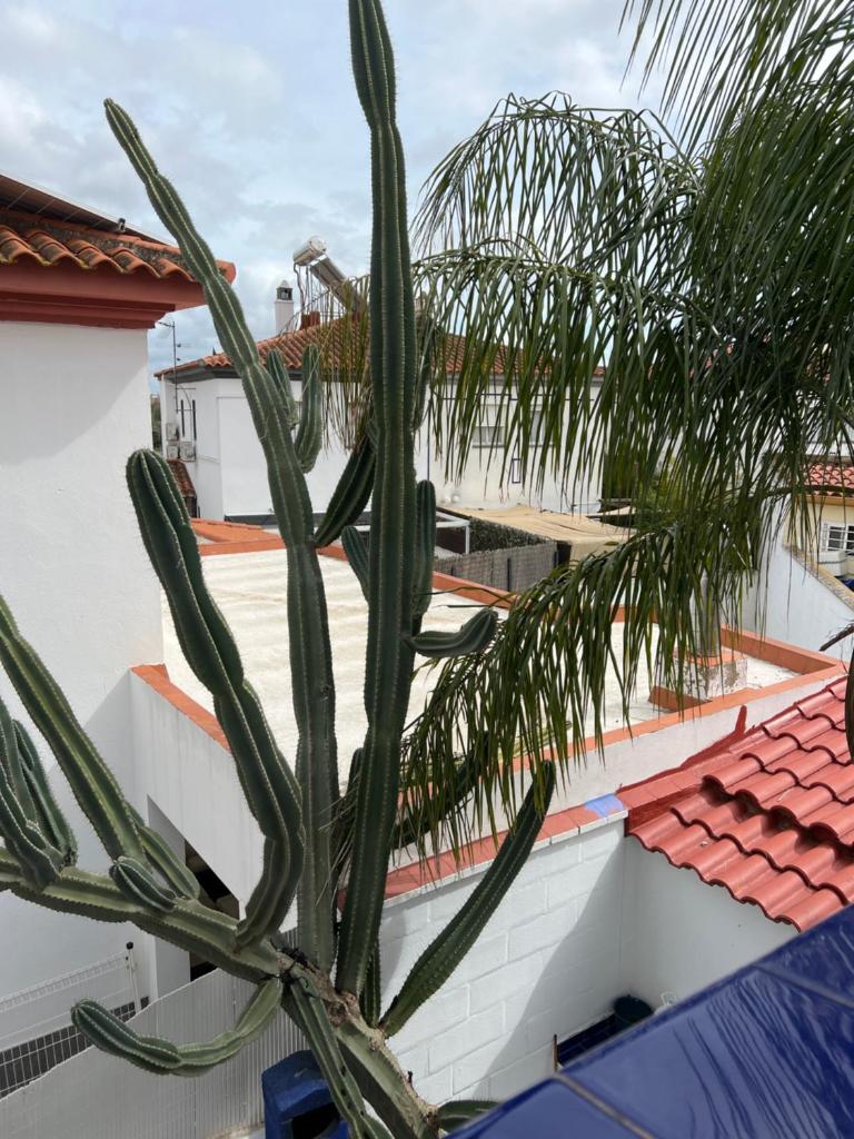 Mex-Goretti House photo 1