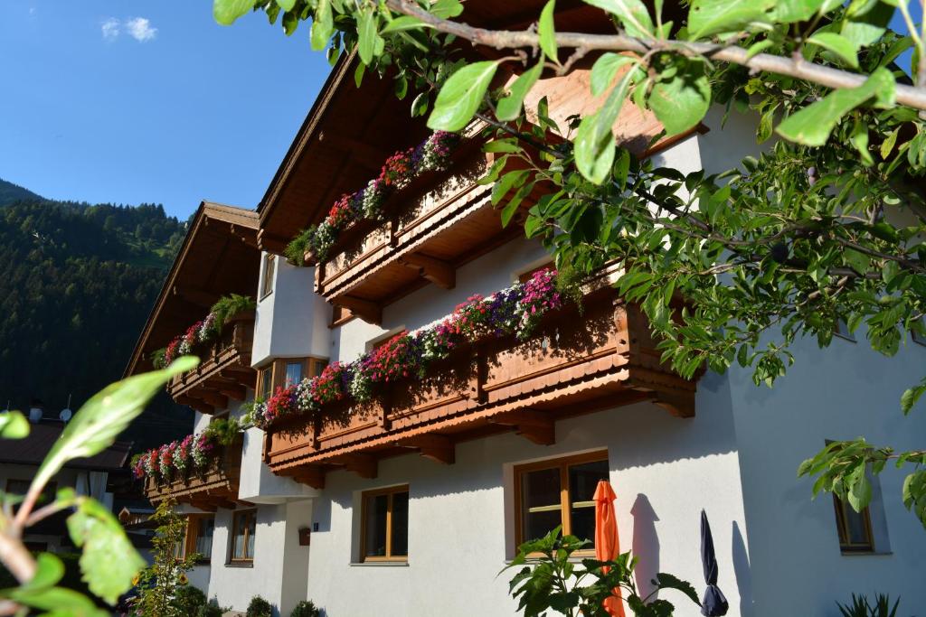 Hofer's Wiesenheim photo 4
