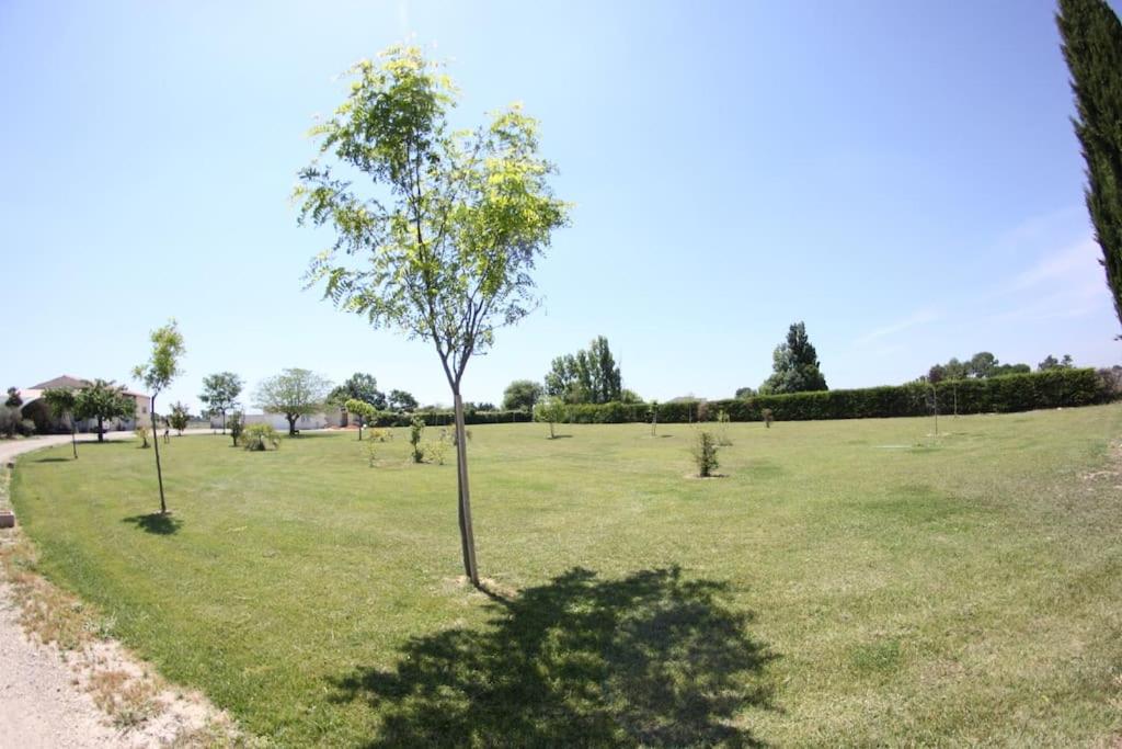 Appartement à 10km de la grande motte, Palavas... photo 3