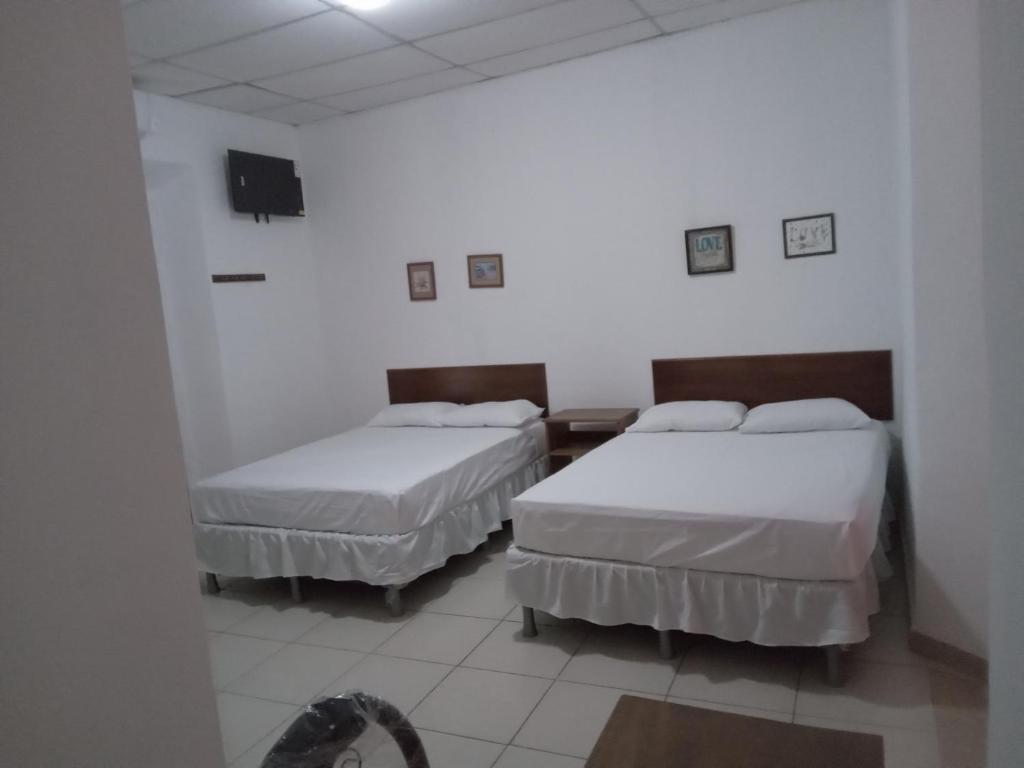 Hotel Maya y Luna photo 3