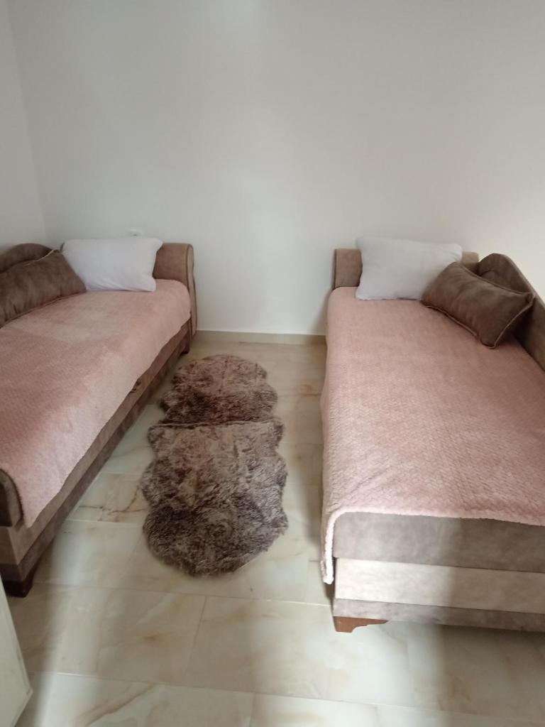 Tića3 photo 1