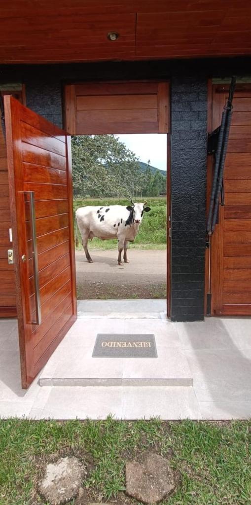 CASA RANCH OXAPAMPA PET FRIENDLY