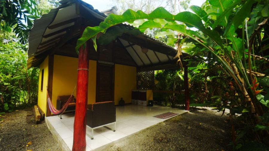 casa de los amigos caribena photo 3