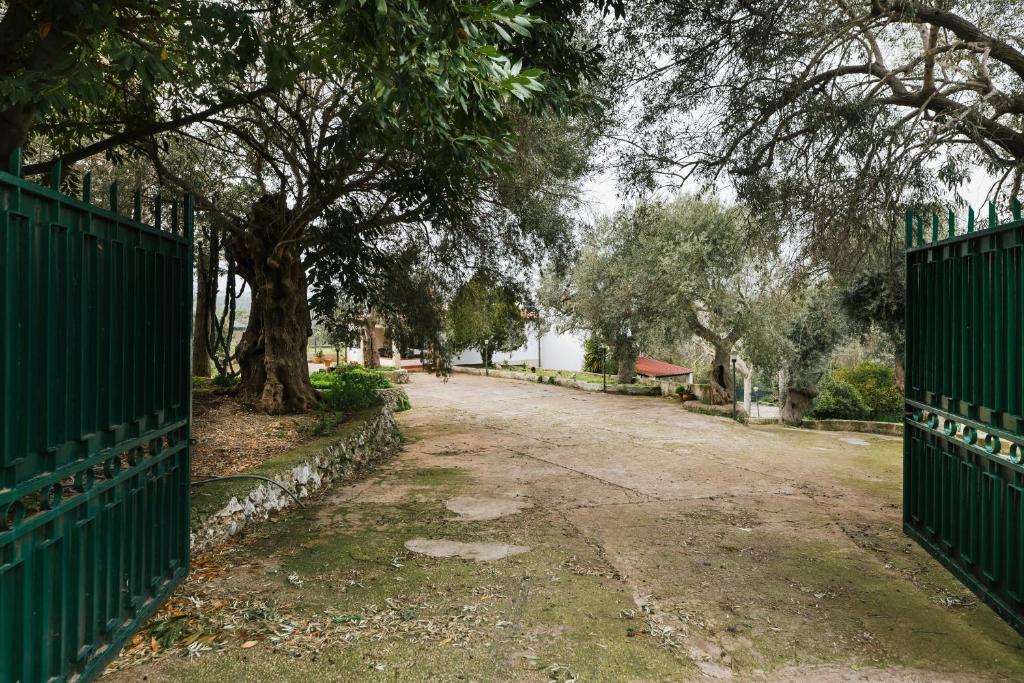 Villa con Piscina tra Noto e Siracusa photo 3