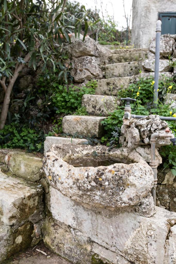 Villa con Piscina tra Noto e Siracusa photo 4