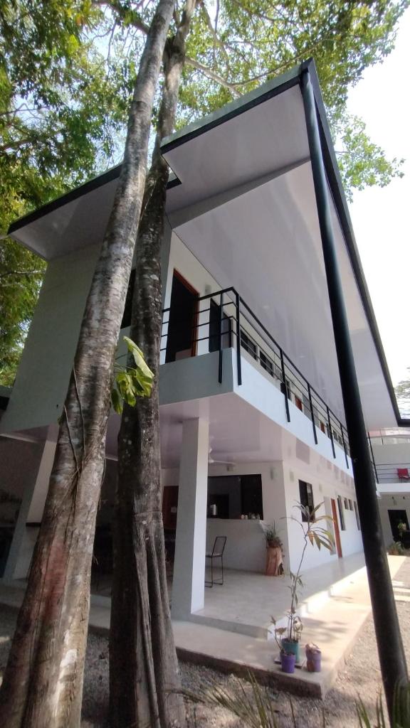 Casajungla Hostel photo 3
