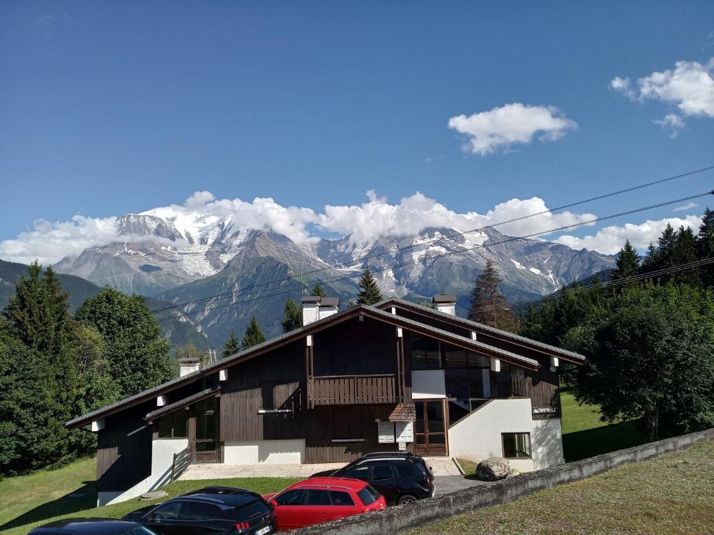 Chalet du Mont Blanc photo 4
