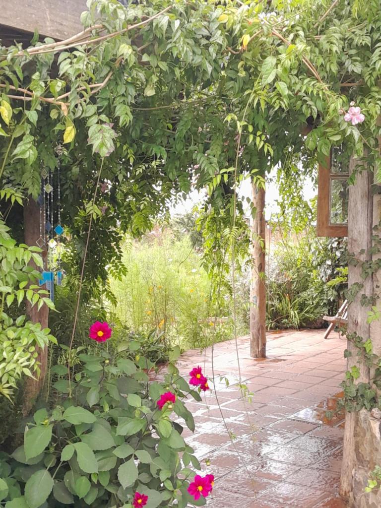 CASA CIELO photo 2
